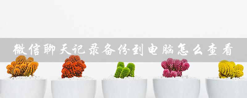 微信聊天记录备份到电脑怎么查看（电脑如何查看备份的微信聊天记录）