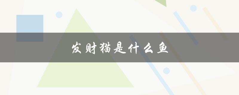 发财猫是什么鱼（发财猫是什么）