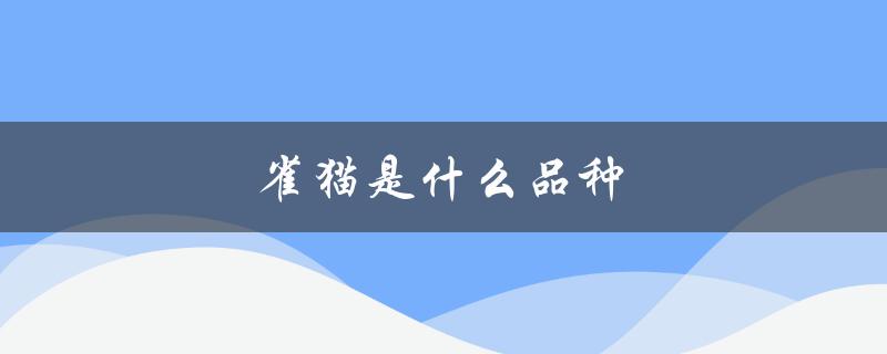雀猫是什么品种（雀猫是什么品种）