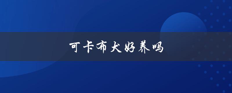 可卡布犬好养吗（不建议养可卡布犬的原因是什么）