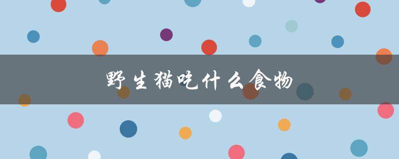 野生猫吃什么食物（猫能吃什么）