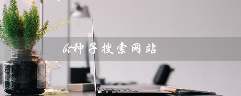 bt种子搜索网站（2022年bt种子搜索网站有哪些）