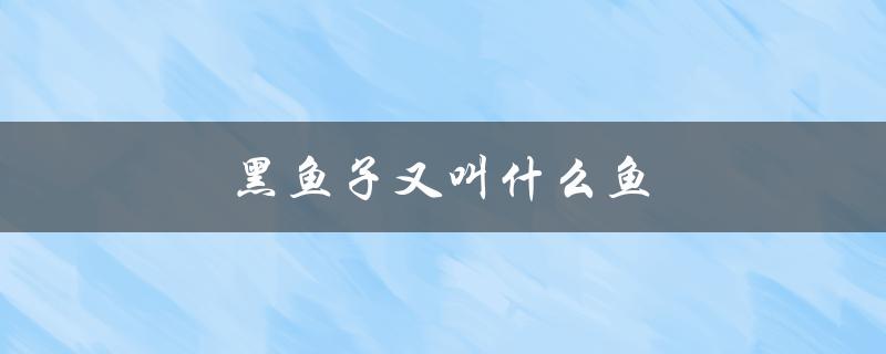 黑鱼子又叫什么鱼（什么是黑鱼子酱）