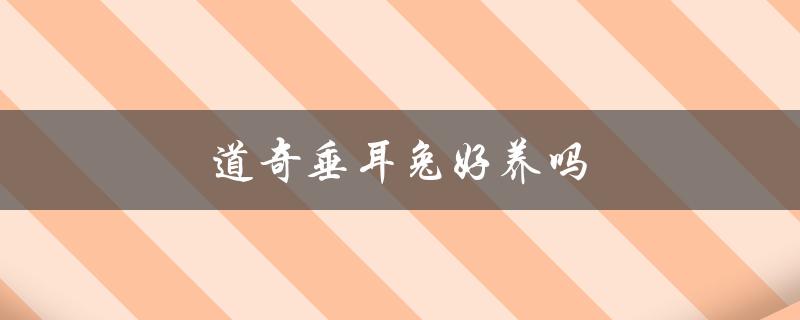 道奇垂耳兔好养吗（如何养道奇垂耳兔）