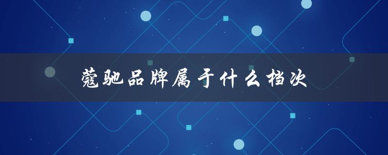 蔻驰品牌属于什么档次（LV品牌属于哪个档次）
