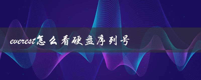 everest怎么看硬盘序列号（如何查看硬盘序列号）