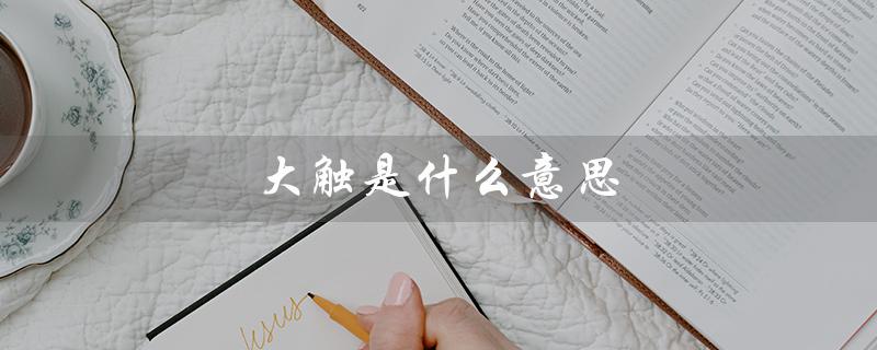 大触是什么意思（什么是大触网络用语）