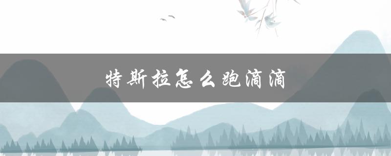 特斯拉怎么跑滴滴（特斯拉跑滴滴月赚多少）