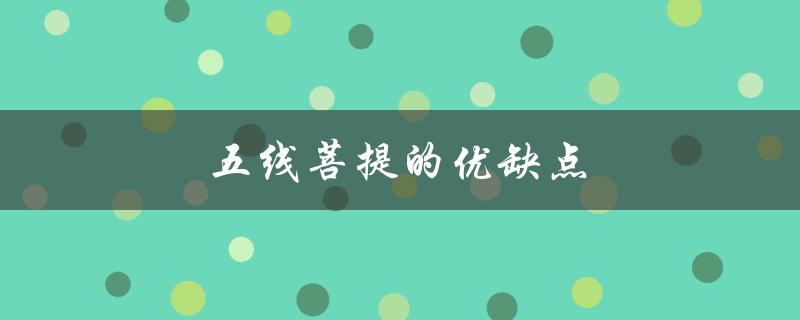 五线菩提的优缺点（五线菩提手串是什么）