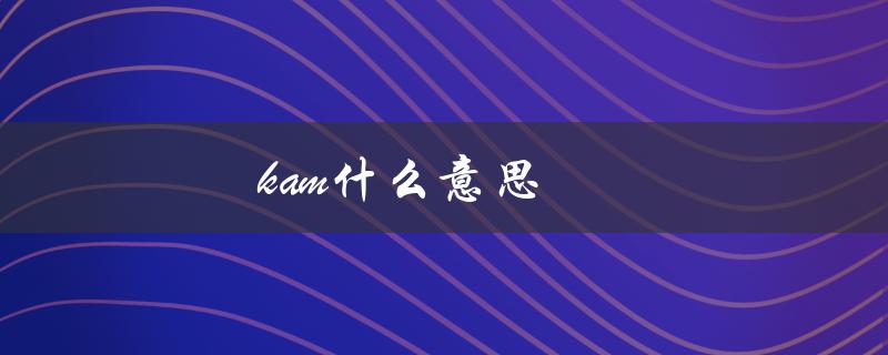 kam什么意思（Tesakam是什么）