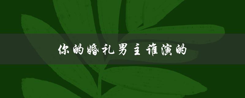 你的婚礼男主谁演的（男主演是谁）