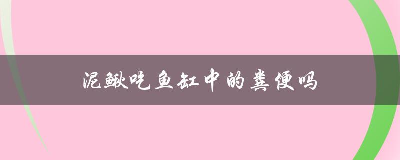 泥鳅吃鱼缸中的粪便吗（泥鳅吃鱼缸粪便）