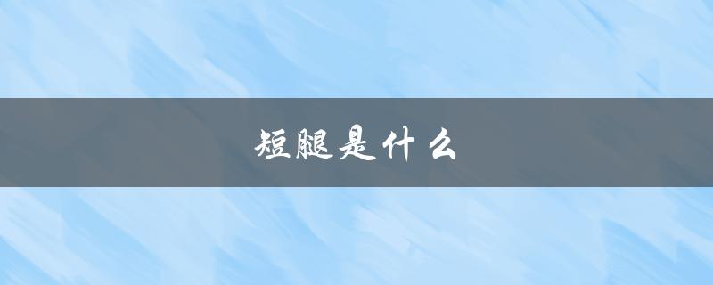短腿是什么（什么生肖是短腿）