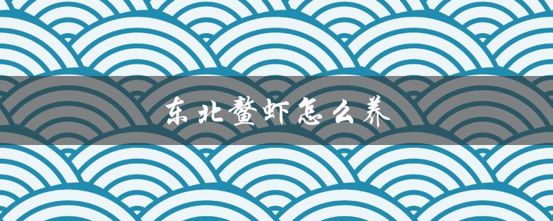 东北鳌虾怎么养（东北有哪些鳌虾养殖基地）