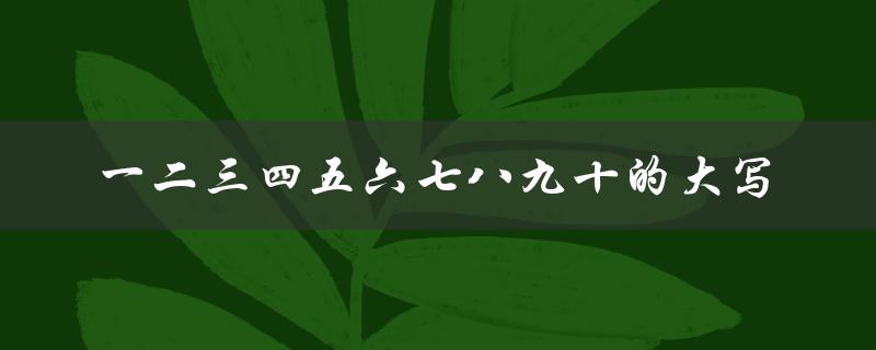 一二三四五六七八九十的大写（一至九十的大写是什么）