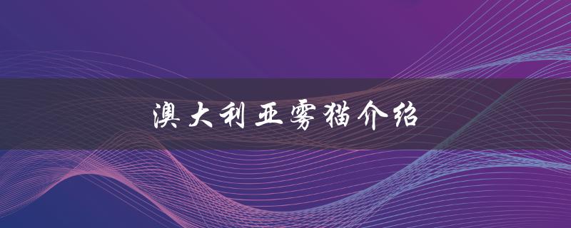 澳大利亚雾猫介绍（澳大利亚雾猫价格多少）