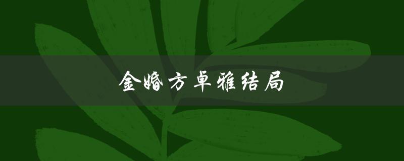 金婚方卓雅结局（谁饰演了金婚方卓雅）
