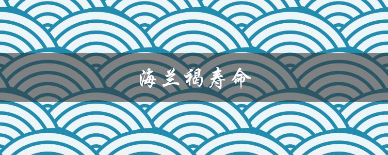 海兰褐寿命（海兰褐蛋鸡寿命多长）