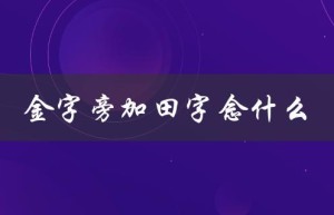 金字旁加田字念什么（金字旁田是啥字）