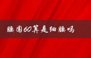 腰围60算是细腰吗（腰围65是否算细腰）