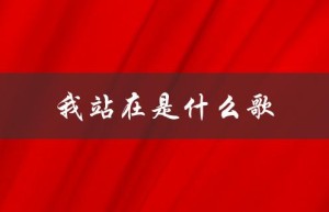 我站在是什么歌（我站在哪首歌里）