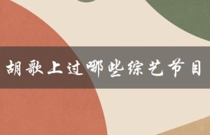 胡歌上过哪些综艺节目（胡歌参加的综艺节目）