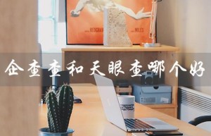 企查查和天眼查哪个好（企查查和天眼查哪个更好）
