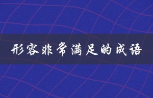 形容非常满足的成语（非常满足的成语有哪些）