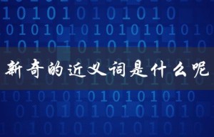 新奇的近义词是什么呢（新奇的同义词是）