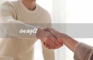 snaglt（Snagit软件有哪些主要功能）