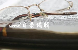 word目录编辑（Word如何编辑目录域）