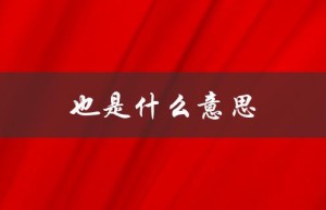 也是什么意思（也是何意）