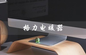 格力电暖器（格力电暖器型号有哪些）