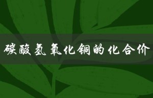 碳酸氢氧化铜的化合价（碳酸氢氧化铜的化合价是多少）