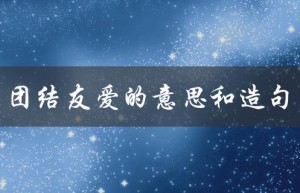 团结友爱的意思和造句（团结友爱互助的含义是什么）