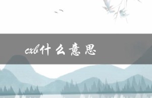 cxb什么意思（CXB的含义是什么）