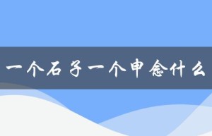 一个石子一个申念什么（探寻自然之美）