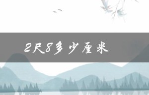 2尺8多少厘米（腰围2尺8是多少厘米）