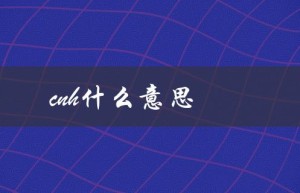 cnh什么意思（Cnh意思是什么）