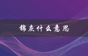 锦灰什么意思（灰名单是什么）