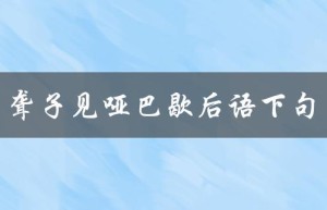 聋子见哑巴歇后语下句（聋哑人歇后语之下一句是什么）