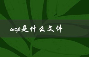 wrp是什么文件（wrap文件是什么格式）