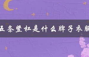 五条竖杠是什么牌子衣服（五条竖杠是哪个品牌车）