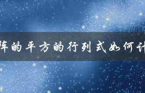 矩阵的平方的行列式如何计算（矩阵平方行列式和）