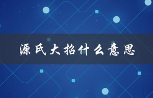 源氏大招什么意思（源氏的大招是什么）