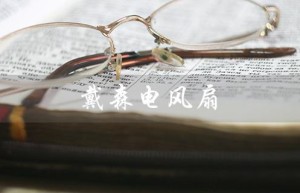 戴森电风扇（戴森电风扇值得买吗）