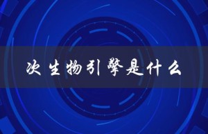 次生物引擎是什么（什么是次生物引擎）