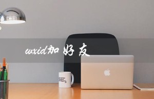 wxid加好友（手机版wxid加好友软件）
