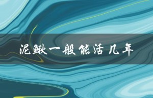 泥鳅一般能活几年（寿命长短取决于环境和品种）