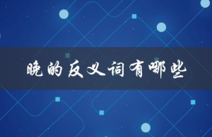 晚的反义词有哪些（浩瀚的反义词是什么）